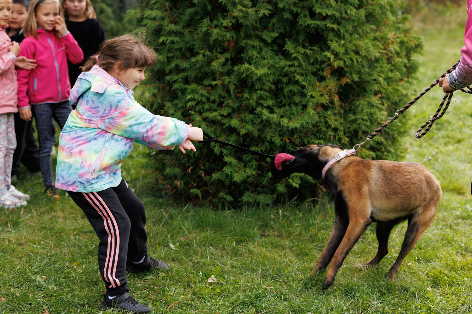 Nosework a praktická práce se psem v areálu školy