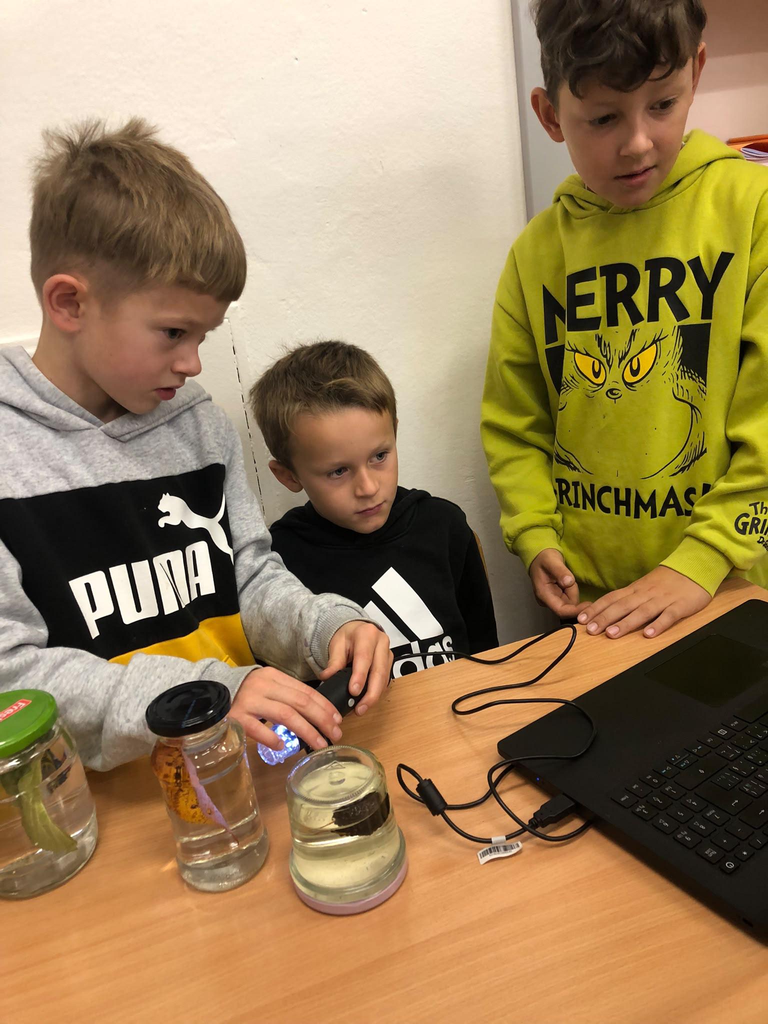 Žáci pozorují vzorky digitální lupou