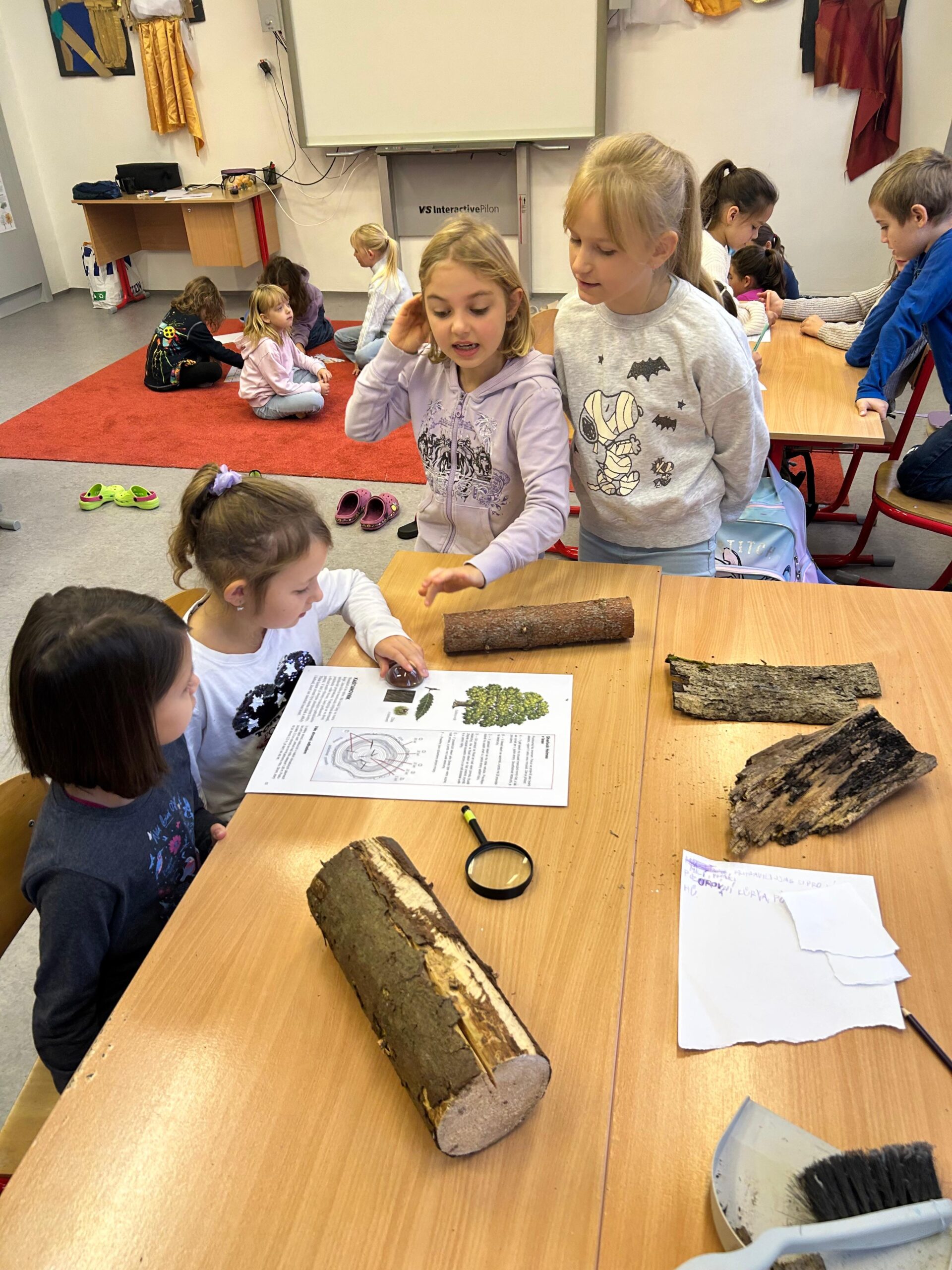 Stanoviště s kůrou, lupou a pracovním listem